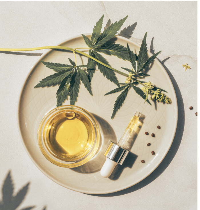 CBD vs THC: Exploring The Differences